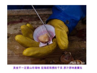 美食不一定要山珍海味 從海底現撈的干貝 原汁原味最實在
 