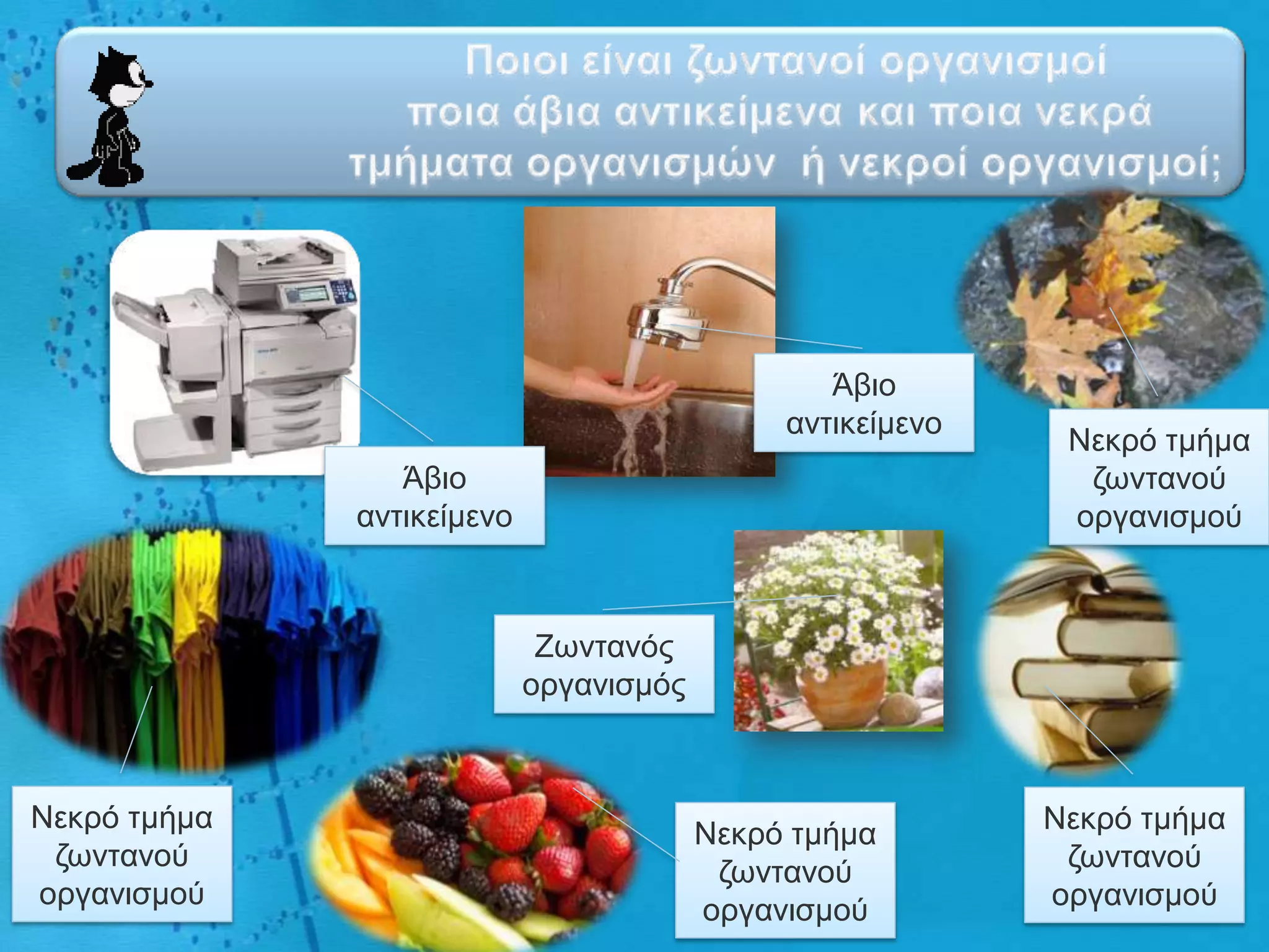 Άβην
                                              αληηθείκελν
                                                             Νεθξό ηκήκα
                 Άβην                                         δσληαλνύ
              αληηθείκελν                                    νξγαληζκνύ



                             Εσληαλόο
                            νξγαληζκόο



Νεθξό ηκήκα                                                 Νεθξό ηκήκα
                                         Νεθξό ηκήκα
 δσληαλνύ                                                    δσληαλνύ
                                          δσληαλνύ
νξγαληζκνύ                                                  νξγαληζκνύ
                                         νξγαληζκνύ
 