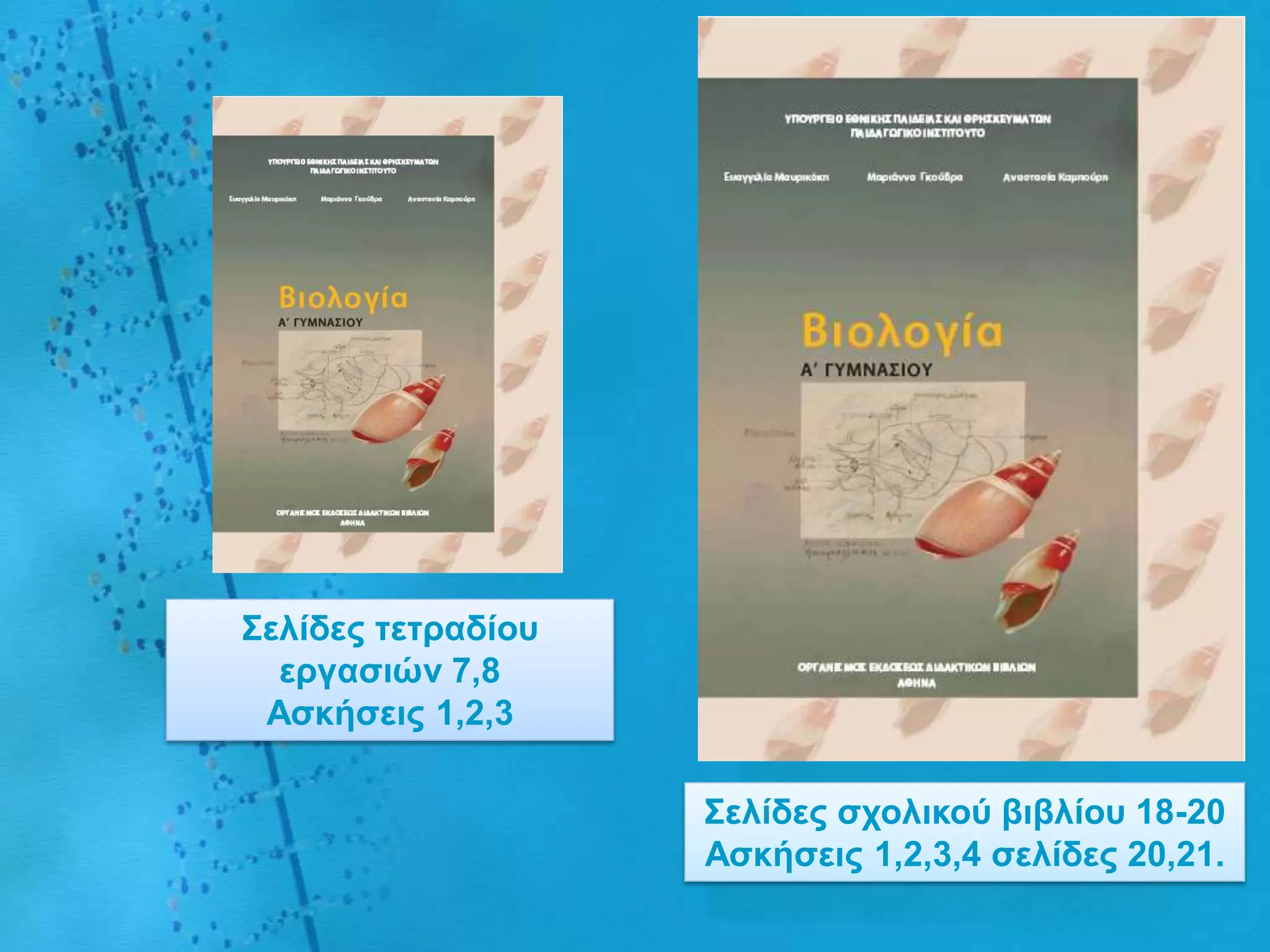 ΢ειίδες ηεηραδίοσ
  εργαζηώλ 7,8
 Αζθήζεης 1,2,3

                    ΢ειίδες ζτοιηθού βηβιίοσ 18-20
                    Αζθήζεης 1,2,3,4 ζειίδες 20,21.
 