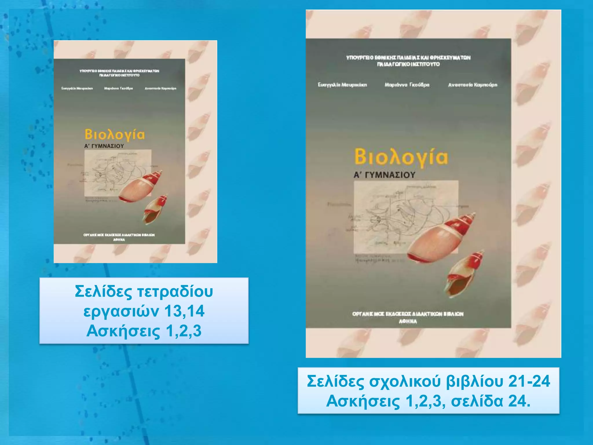 ΢ειίδες ηεηραδίοσ
 εργαζηώλ 13,14
 Αζθήζεης 1,2,3


                    ΢ειίδες ζτοιηθού βηβιίοσ 21-24
                      Αζθήζεης 1,2,3, ζειίδα 24.
 