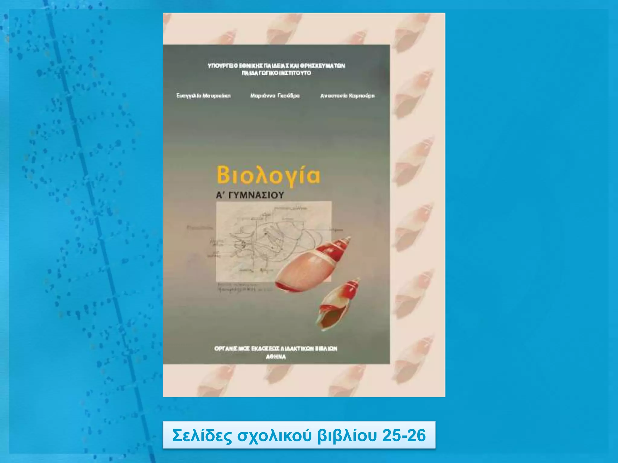 ΢ειίδες ζτοιηθού βηβιίοσ 25-26
 