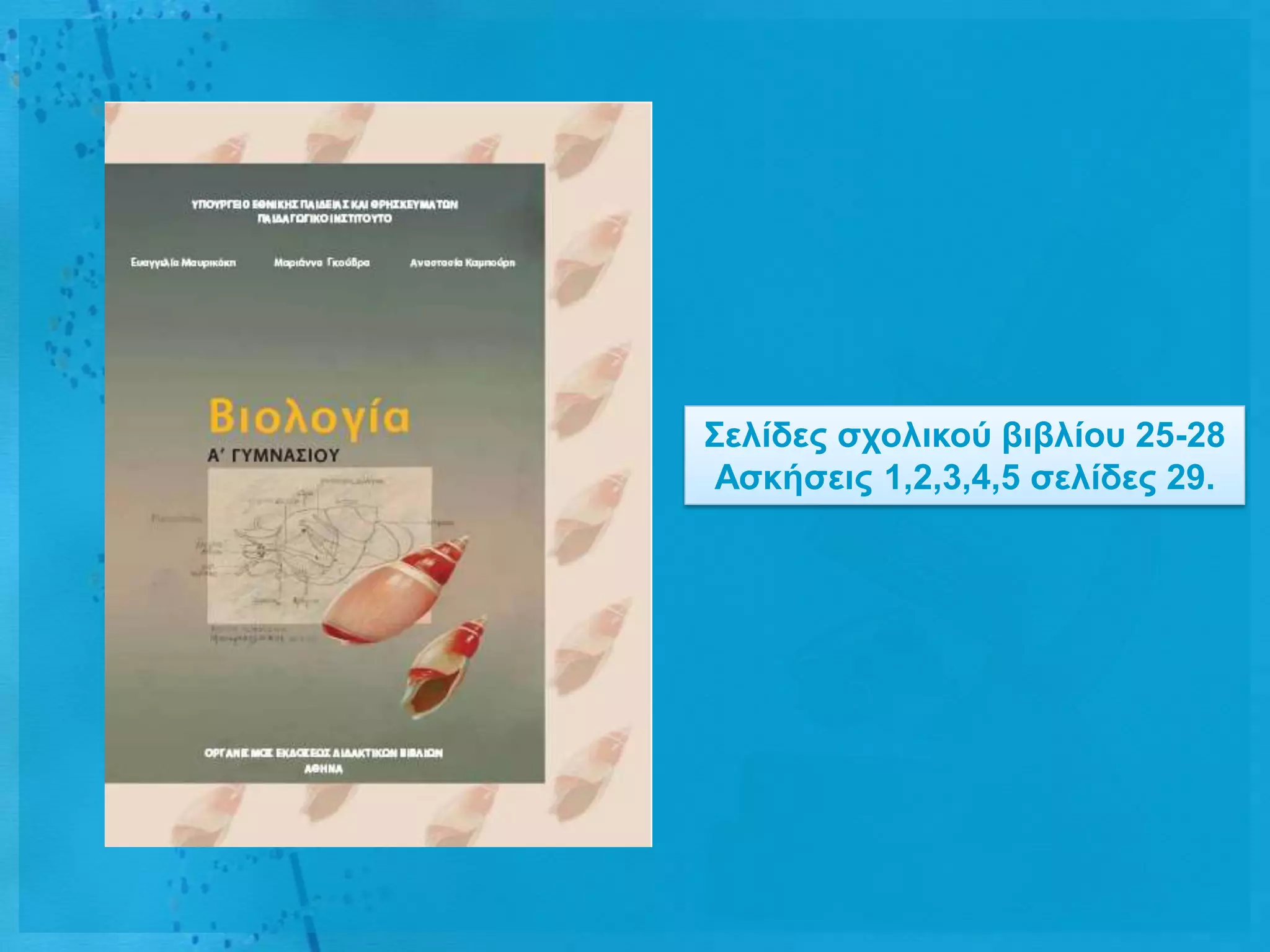 ΢ειίδες ζτοιηθού βηβιίοσ 25-28
 Αζθήζεης 1,2,3,4,5 ζειίδες 29.
 