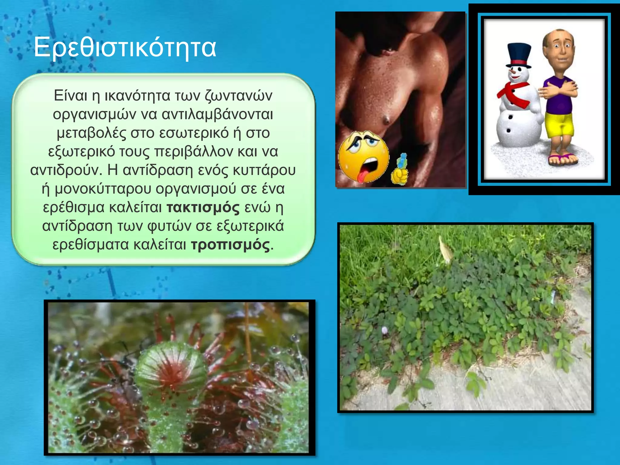 Δξεζηζηηθόηεηα
   Δίλαη ε ηθαλόηεηα ησλ δσληαλώλ
   νξγαληζκώλ λα αληηιακβάλνληαη
    κεηαβνιέο ζην εζσηεξηθό ή ζην
  εμσηεξηθό ηνπο πεξηβάιινλ θαη λα
αληηδξνύλ. Ζ αληίδξαζε ελόο θπηηάξνπ
 ή κνλνθύηηαξνπ νξγαληζκνύ ζε έλα
 εξέζηζκα θαιείηαη ηαθηηζκός ελώ ε
 αληίδξαζε ησλ θπηώλ ζε εμσηεξηθά
   εξεζίζκαηα θαιείηαη ηροπηζκός.
 