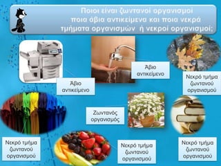 Άβην
                                              αληηθείκελν
                                                             Νεθξό ηκήκα
                 Άβην                                         δσληαλνύ
              αληηθείκελν                                    νξγαληζκνύ



                             Εσληαλόο
                            νξγαληζκόο



Νεθξό ηκήκα                                                 Νεθξό ηκήκα
                                         Νεθξό ηκήκα
 δσληαλνύ                                                    δσληαλνύ
                                          δσληαλνύ
νξγαληζκνύ                                                  νξγαληζκνύ
                                         νξγαληζκνύ
 