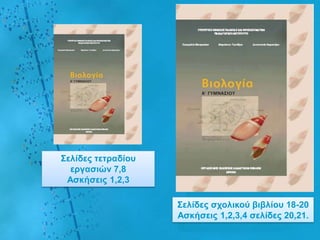 ΢ειίδες ηεηραδίοσ
  εργαζηώλ 7,8
 Αζθήζεης 1,2,3

                    ΢ειίδες ζτοιηθού βηβιίοσ 18-20
                    Αζθήζεης 1,2,3,4 ζειίδες 20,21.
 