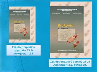 ΢ειίδες ηεηραδίοσ
 εργαζηώλ 13,14
 Αζθήζεης 1,2,3


                    ΢ειίδες ζτοιηθού βηβιίοσ 21-24
                      Αζθήζεης 1,2,3, ζειίδα 24.
 