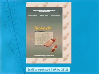 ΢ειίδες ζτοιηθού βηβιίοσ 25-26
 