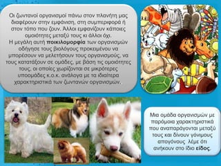 Οη δσληαλνί νξγαληζκνί πάλσ ζηνλ πιαλήηε καο
  δηαθέξνπλ ζηελ εκθάληζε, ζηε ζπκπεξηθνξά ή
  ζηνλ ηόπν πνπ δνπλ. Άιινη εκθαλίδνπλ θάπνηεο
       νκνηόηεηεο κεηαμύ ηνπο θη άιινη όρη.
 Ζ κεγάιε απηή ποηθηιοκορθία ησλ νξγαληζκώλ
     νδήγεζε ηνπο βηνιόγνπο πξνθεηκέλνπ λα
 κπνξέζνπλ λα κειεηήζνπλ ηνπο νξγαληζκνύο, λα
ηνπο θαηαηάμνπλ ζε νκάδεο, κε βάζε ηηο νκνηόηεηεο
     ηνπο, νη νπνίεο ρσξίδνληαη ζε κηθξόηεξεο
     ππννκάδεο θ.ν.θ. αλάινγα κε ηα ηδηαίηεξα
   ραξαθηεξηζηηθά ησλ δσληαλώλ νξγαληζκώλ..




                                                    Μηα νκάδα νξγαληζκώλ κε
                                                     παξόκνηα ραξαθηεξηζηηθά
                                                    πνπ αλαπαξάγνληαη κεηαμύ
                                                     ηνπο θαη δίλνπλ γόληκνπο
                                                       απνγόλνπο ιέκε όηη
                                                      αλήθνπλ ζην ίδην είδος.
 