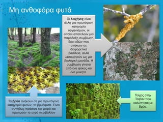 Με αλζνθόξα θπηά
                                        Oη ιεητήλες είλαη
                                      άιιε κηα πξσηόγνλε
                                            θαηεγνξία
                                         νξγαληζκώλ, νη
                                      νπνίνη απνηεινύλ κηα
                                      παξάδνμε ζπκβίσζε
                                         δύν εηδώλ πνπ
                                           αλήθνπλ ζε
                                           δηαθνξεηηθά
                                         βαζίιεηα, αιιά
                                       ιεηηνπξγνύλ σο κία
                                      βηνινγηθή κνλάδα. Ζ
                                        ζπκβίσζε γίλεηαη
                                       από έλα θύθνο θαη
                                           έλα κύθεηα.




                                                              Τνίρνο ζηελ
                                                              Ταηβάλ πνπ
Τα βρύα αλήθνπλ ζε κηα πξσηόγνλε
                                                             θαιύπηεηαη κε
θαηεγνξία θπηώλ, ηα βξπόθπηα. Δίλαη
                                                                 βξύα.
   ζπλήζσο πξάζηλα θαη κηθξά θαη
   πξνηηκνύλ ην πγξό πεξηβάιινλ
 