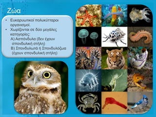 Εώα
• Δπθαξπσηηθνί πνιπθύηηαξνη
  νξγαληζκνί.
• Φσξίδνληαη ζε δύν κεγάιεο
  θαηεγνξίεο:
  Α) Αζπόλδπια (δελ έρνπλ
   ζπνλδπιηθή ζηήιε)
  Β) Σπνλδπισηά ή Σπνλδπιόδσα
   (έρνπλ ζπνλδπιηθή ζηήιε)
 