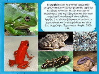 Β) Ακθίβηα είλαη ηα ζπνλδπιόδσα πνπ
κπνξνύλ λα αλαπλεύζνπλ κέζα ζην λεξό θαη
   ειεύζεξα ηνλ αέξα. Ζ ιέμε πξνέξρεηαη
εηπκνινγηθά από ηηο ιέμεηο ακθί θαη βίος πνπ
   ζεκαίλεη δηπιή δωή ή δηπιή επηβίωζε.
 Ακθίβηα δώα είλαη νη βάηξαρνη, νη θξύλνη, νη
  γπκλνθίνλεο θαη νη ζαιακάλδξεο θαη είλαη
 δώα ςπρξόαηκα. Έρνπλ αλαθαιπθζεί 6500
                    είδε.
 