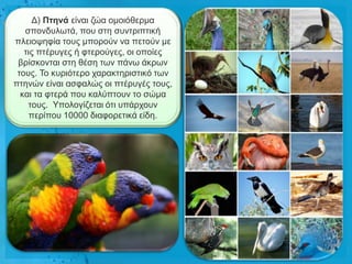 Γ) Πηελά είλαη δώα νκνηόζεξκα
   ζπνλδπισηά, πνπ ζηε ζπληξηπηηθή
πιεηνςεθία ηνπο κπνξνύλ λα πεηνύλ κε
   ηηο πηέξπγεο ή θηεξνύγεο, νη νπνίεο
 βξίζθνληαη ζηε ζέζε ησλ πάλσ άθξσλ
 ηνπο. Τν θπξηόηεξν ραξαθηεξηζηηθό ησλ
πηελώλ είλαη αζθαιώο νη πηέξπγέο ηνπο,
  θαη ηα θηεξά πνπ θαιύπηνπλ ην ζώκα
    ηνπο. Υπνινγίδεηαη όηη ππάξρνπλ
     πεξίπνπ 10000 δηαθνξεηηθά είδε.
 