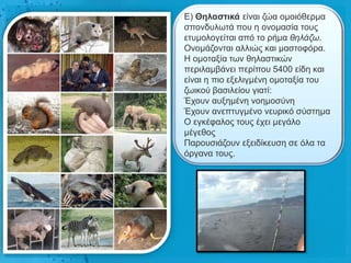 Δ) Θειαζηηθά είλαη δώα νκνηόζεξκα
ζπνλδπισηά πνπ ε νλνκαζία ηνπο
εηπκνινγείηαη από ην ξήκα ζειάδω.
Ολνκάδνληαη αιιηώο θαη καζηνθόξα.
Ζ νκνηαμία ησλ ζειαζηηθώλ
πεξηιακβάλεη πεξίπνπ 5400 είδε θαη
είλαη ε πην εμειηγκέλε νκνηαμία ηνπ
δσηθνύ βαζηιείνπ γηαηί:
Έρνπλ απμεκέλε λνεκνζύλε
Έρνπλ αλεπηπγκέλν λεπξηθό ζύζηεκα
Ο εγθέθαινο ηνπο έρεη κεγάιν
κέγεζνο
Παξνπζηάδνπλ εμεηδίθεπζε ζε όια ηα
όξγαλα ηνπο.
 