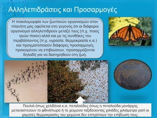 Αιιειεπηδξάζεηο θαη Πξνζαξκνγέο
 Ζ πνηθηινκνξθία ησλ δσληαλώλ νξγαληζκώλ ζηνλ
πιαλήηε καο νθείιεηαη ζην γεγνλόο όηη νη δηάθνξνη
νξγαληζκνί αιιειεπηδξνύλ κεηαμύ ηνπο (π.ρ. πνηνο
    ηξώεη πνηνλ) αιιά θαη κε ηηο ζπλζήθεο ηνπ
 πεξηβάιινληνο (π.ρ. πγξαζία, ζεξκνθξαζία θ.α.)
   θαη πξαγκαηνπνηνύλ δηάθνξεο πξνζαξκνγέο
  πξνθεηκέλνπ λα επηβηώζνπλ, πξνζαξκόδνληαη
       δειαδή γηα λα δηαηεξεζνύλ ζηε δσή.




       Πνπιηά όπσο ρειηδόληα θ.α. πεηαινύδεο όπσο ε πεηαινύδα κνλάξρεο
κεηαλαζηεύνπλ ην θζηλόπσξν ή ην ρεηκώλα ηαμηδεύνληαο ρηιηάδεο ρηιηόκεηξα γηαηί νη
      ρακειέο ζεξκνθξαζίεο ηνπ ρεηκώλα δελ επηηξέπνπλ ηελ επηβίσζε ηνπο.
 