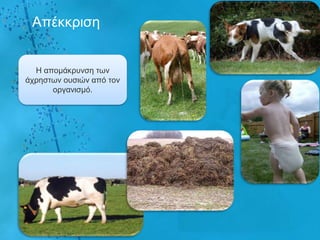 Απέθθξηζε


  Ζ απνκάθξπλζε ησλ
άρξεζησλ νπζηώλ από ηνλ
      νξγαληζκό.
 