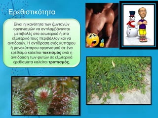 Δξεζηζηηθόηεηα
   Δίλαη ε ηθαλόηεηα ησλ δσληαλώλ
   νξγαληζκώλ λα αληηιακβάλνληαη
    κεηαβνιέο ζην εζσηεξηθό ή ζην
  εμσηεξηθό ηνπο πεξηβάιινλ θαη λα
αληηδξνύλ. Ζ αληίδξαζε ελόο θπηηάξνπ
 ή κνλνθύηηαξνπ νξγαληζκνύ ζε έλα
 εξέζηζκα θαιείηαη ηαθηηζκός ελώ ε
 αληίδξαζε ησλ θπηώλ ζε εμσηεξηθά
   εξεζίζκαηα θαιείηαη ηροπηζκός.
 