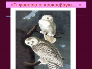 «Τι φασαρία οι κουκουβάγιες …»
 