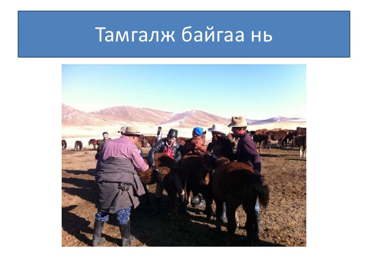 Монголын мал тамгалахт ёс ба орчин үе
