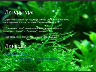Литература
•,,Британика’’-прпф. Др. Радивпје Микић, Гпјкп Тешић, магистар
Васа Павкпвић и магистар Милета Аћимпвић Ивкпв

•,,Откриваое света’’ –кпмплет енциклппедија ( директнп
издвпјене: ,,Шума’’ и ,,Прирпда’’ ) издавач: Змај

•1000 ствари кпје треба знати ,,Биљке’’ Чпн Фарндпн



 Линкпви
• www.biljnocarstvo.com

•slike sa www.wikipedia.com & www.googleimages.com
 