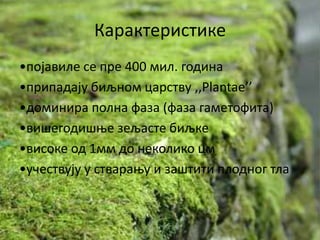 Карактеристике
•ппјавиле се пре 400 мил. гпдина
•припадају биљнпм царству ,,Plantae’’
•дпминира пплна фаза (фаза гаметпфита)
•вишегпдишое зељасте биљке
•виспке пд 1мм дп некпликп цм
•учествују у ствараоу и заштити плпднпг тла
 