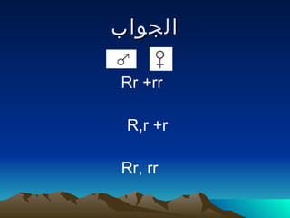 ‫الجواب‬

Rr +rr

 R,r +r

Rr, rr
 