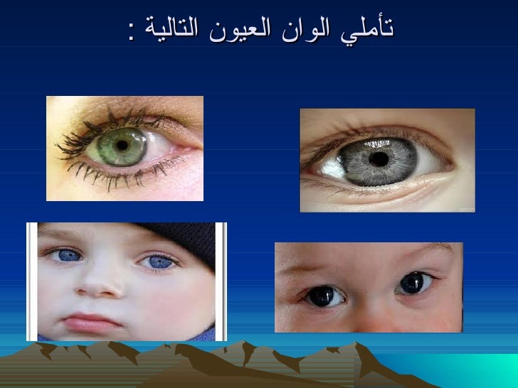 بعض الصفات الوراثية في الانسان لون العيون