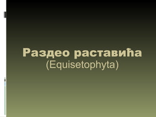 Раздео раставића
   (Equisetophyta)
 