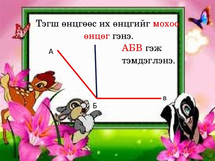 өнцөг түүний төрөл