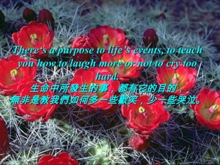There‘s a purpose to life’s events, to teach
 you how to laugh more or not to cry too
                  hard.
  生命中所發生的事，都有它的目的，
無非是教我們如何多一些歡笑，少一些哭泣。
 