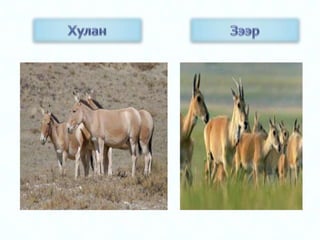 цахим хэрэглэгдэхүүн