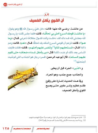 «                       »
»
    «   »                           «
            «               »
                    »
                        «
                                .
                            «       »
 