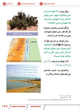 »


            «




                »


                    «
                »
                        «
(       )



    -
 