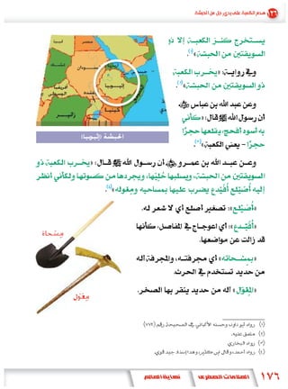 «
                            »
                «


                        »
(       )
                        «
    »

            «
                                «   »
                                «   »


                            «       »


                                «   »
 