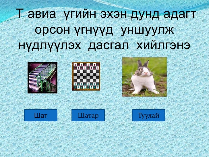 т үсэг
