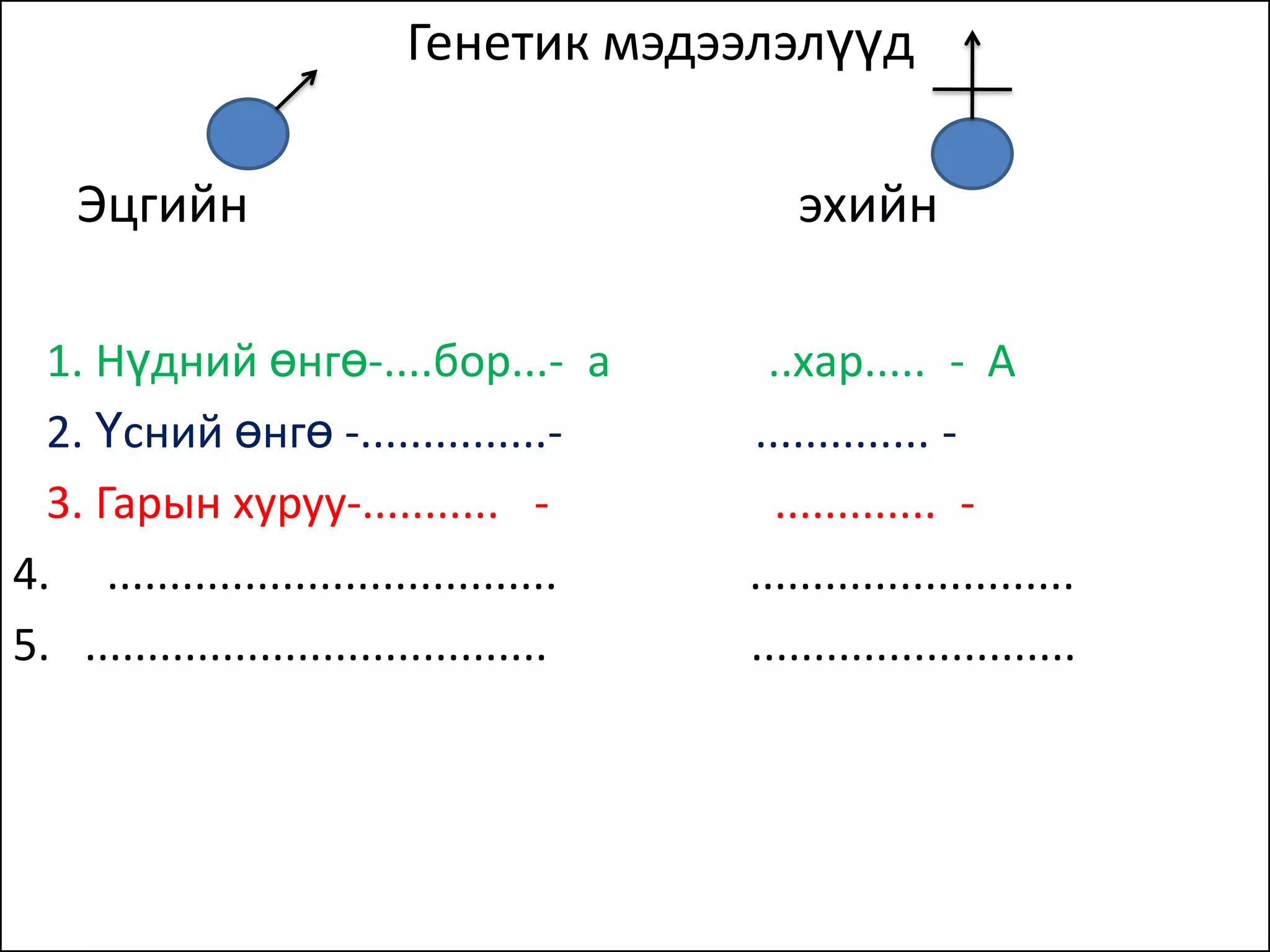 Генетик мэдээлэлүүд

    Эцгийн                                    эхийн

  1. Нүдний өнгө-....бор...- а              ..хар..... - А
  2. Үсний өнгө -...............-          .............. -
  3. Гарын хуруу-........... -               ............. -
4. ....................................    ..........................
5. .....................................   ..........................
 