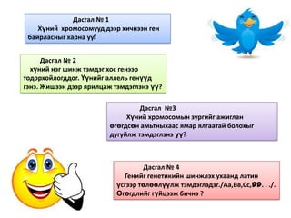 хромосом | PPT