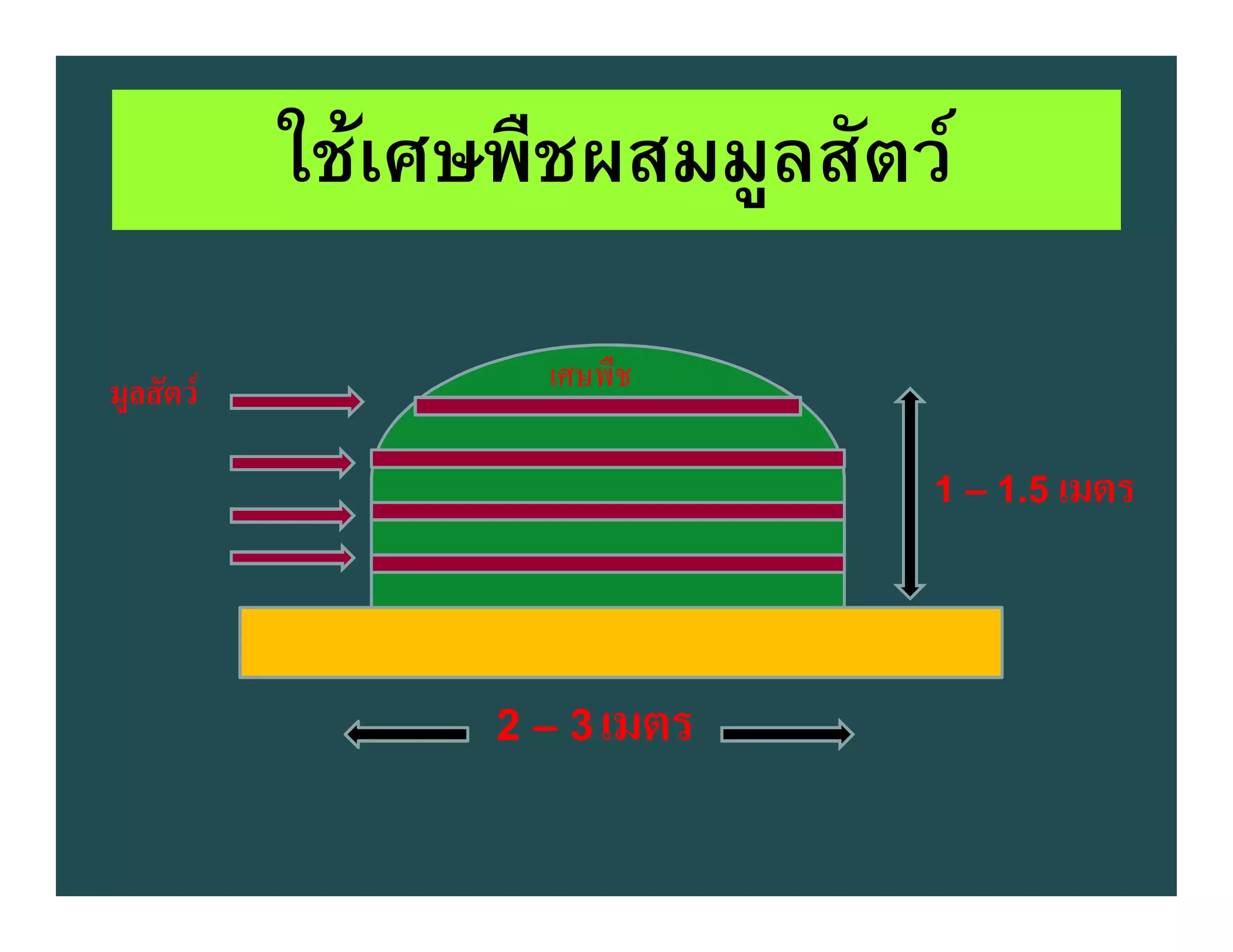 ใชเศษพืชผสมมูลสัตว

มูลสัตว           เศษพืช

                              1 – 1.5 เมตร




                 2 – 3 เมตร
 