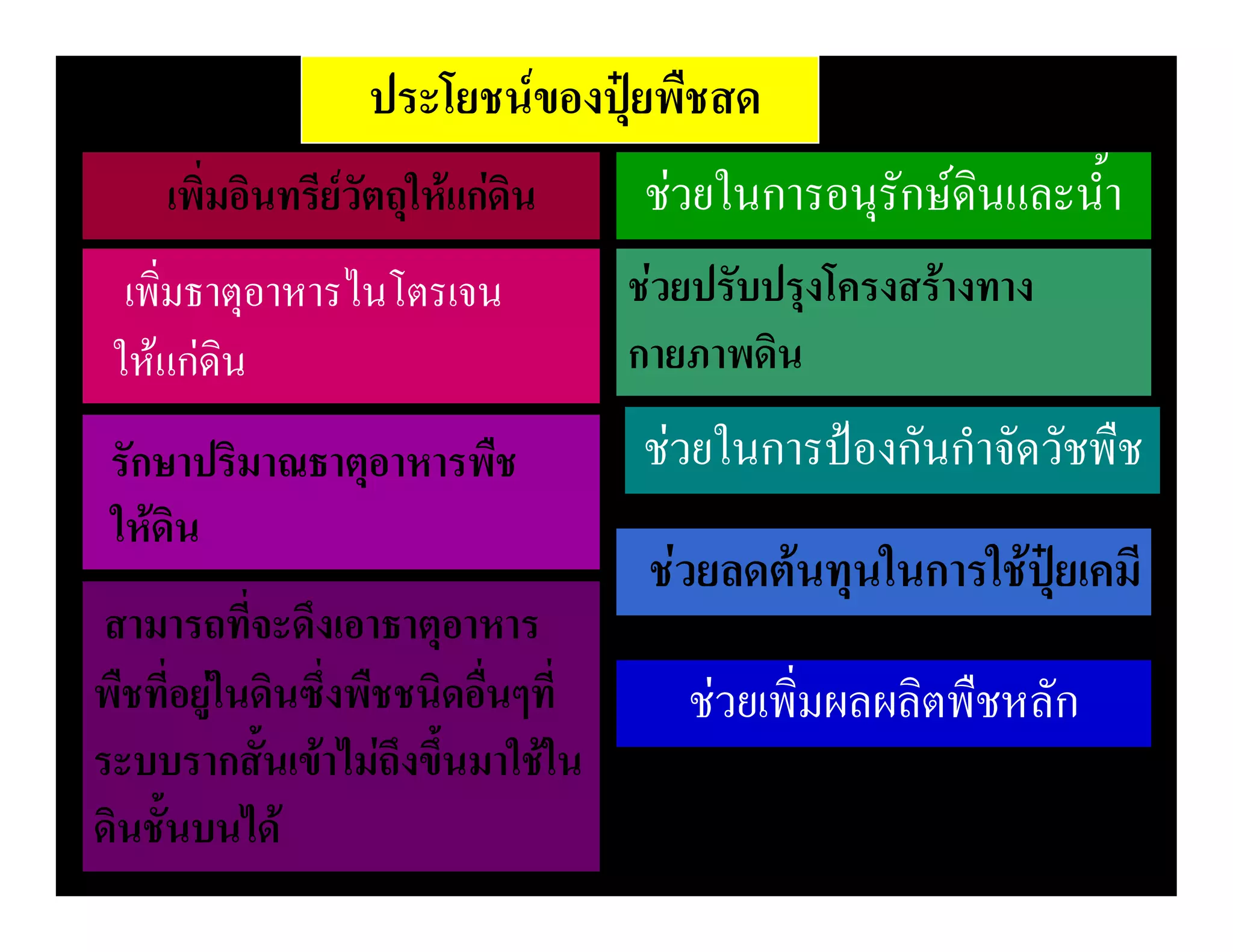 ประโยชนของปุยพืชสด
     เพิ่มอินทรียวัตถุใหแกดิน      ชวยในการอนุรักษดินและน้ํา
  เพิ่มธาตุอาหารไนโตรเจน             ชวยปรับปรุงโครงสรางทาง
 ใหแกดิน                           กายภาพดิน
 รักษาปริมาณธาตุอาหารพืช             ชวยในการปองกันกําจัดวัชพืช
 ใหดิน
                                      ชวยลดตนทุนในการใชปุยเคมี
 สามารถที่จะดึงเอาธาตุอาหาร
พืชที่อยูในดินซึ่งพืชชนิดอื่นๆที่      ชวยเพิ่มผลผลิตพืชหลัก
ระบบรากสั้นเขาไมถึงขึ้นมาใชใน
ดินชั้นบนได
 