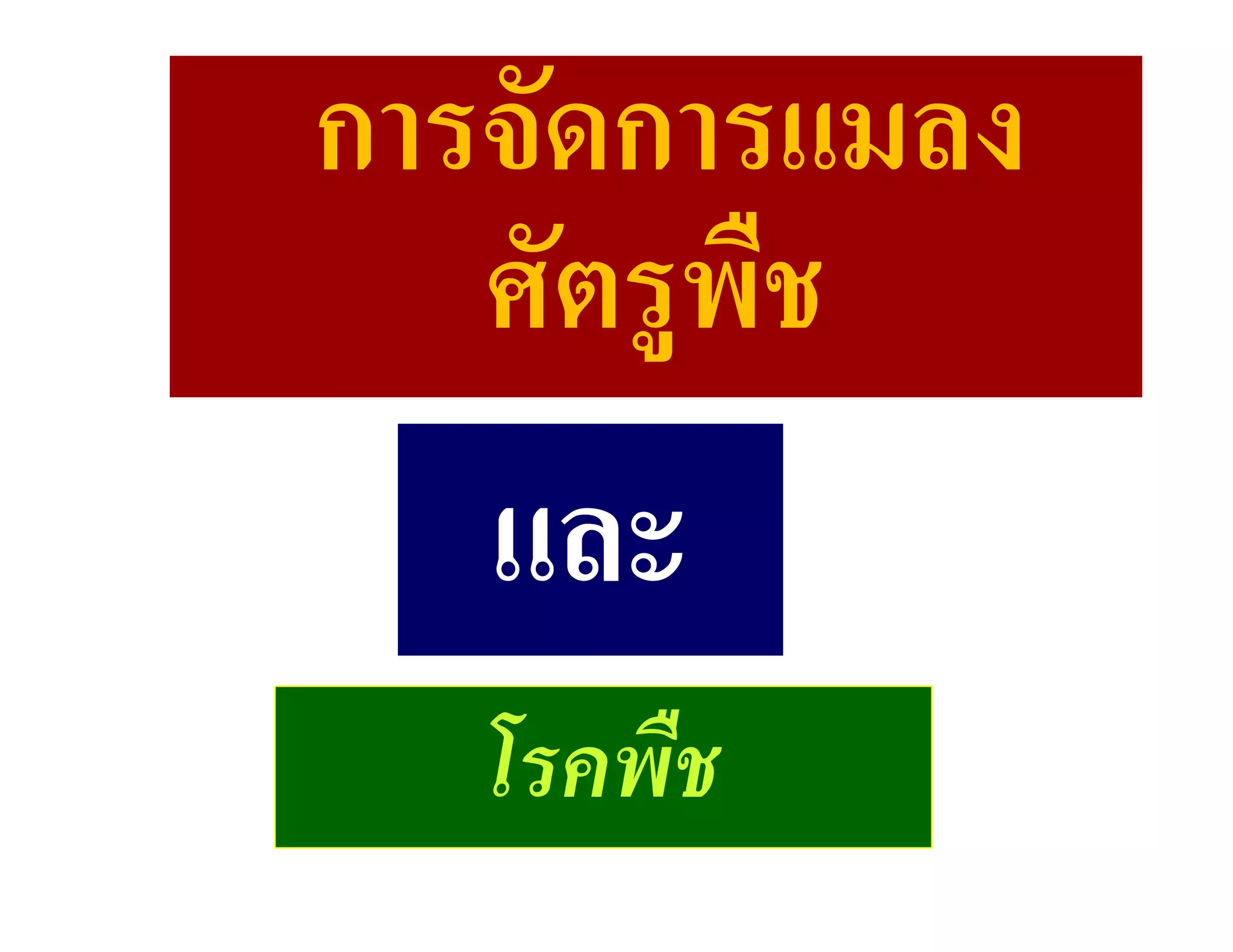 การจัดการแมลง
   ศัตรูพืช
   และ
   โรคพืช
 