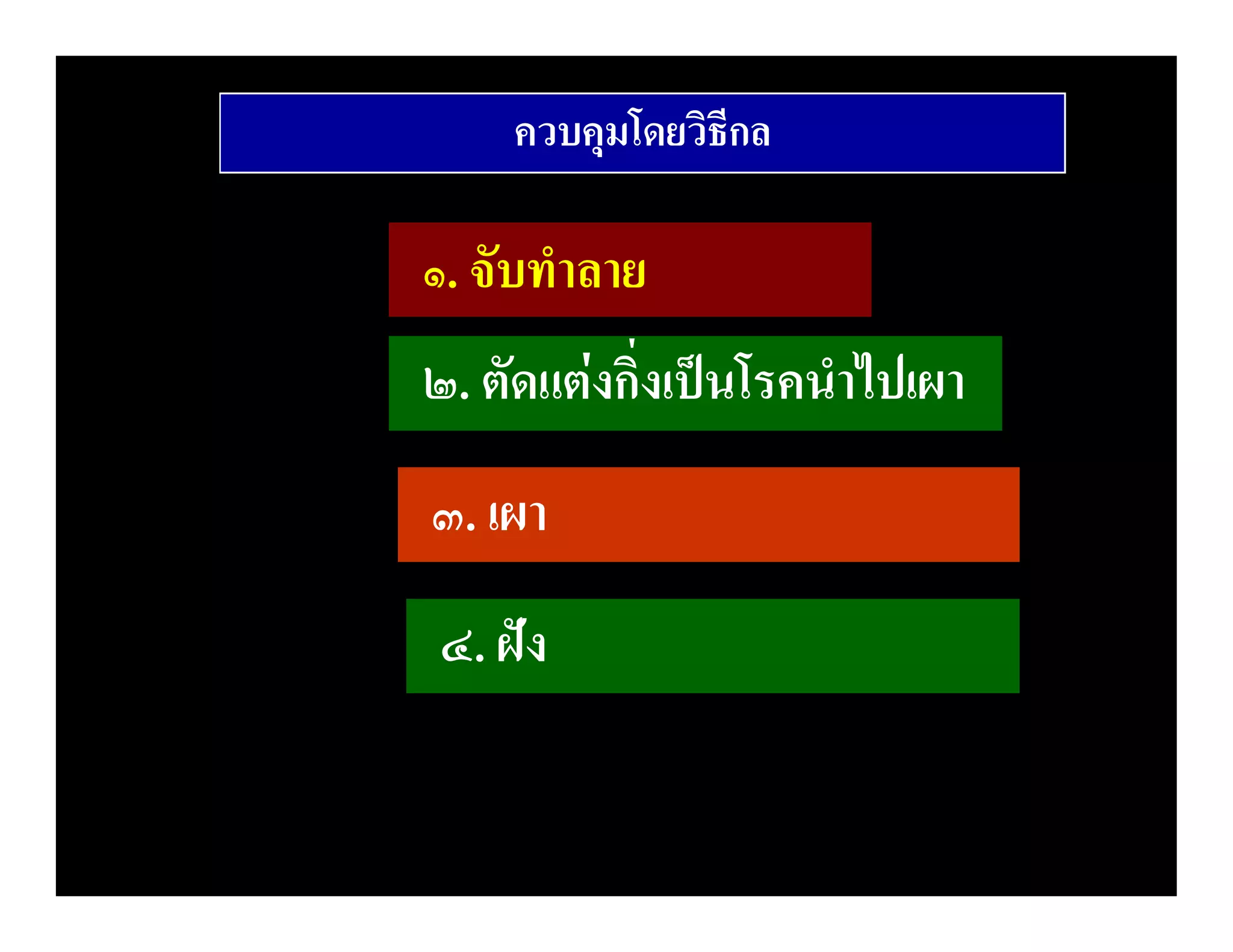 ควบคุมโดยวิธีกล

๑. จับทําลาย
๒. ตัดแตงกิ่งเปนโรคนําไปเผา
๓. เผา
๔. ฝง
 