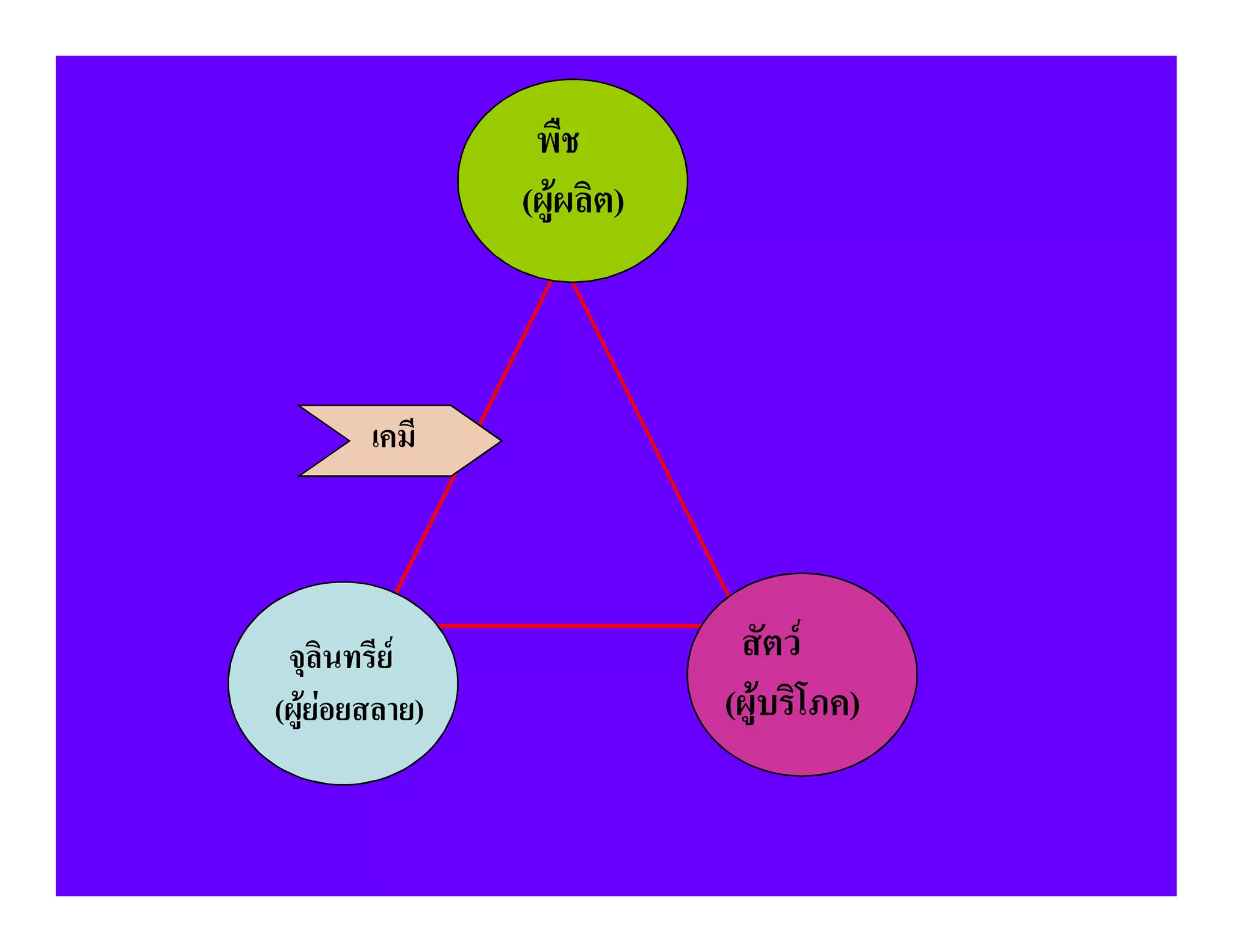 พืช
                (ผูผลิต)



        เคมี




 จุลินทรีย                  สัตว
(ผูยอยสลาย)               (ผูบริโภค)
 