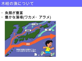 木岐の漁について

・魚類が豊富
・豊かな藻場(ワカメ・アラメ)
 