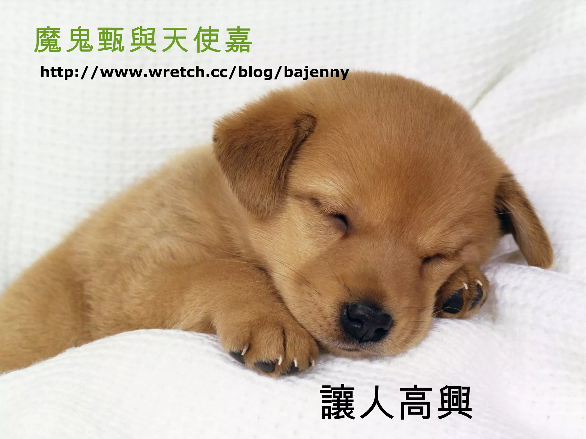 魔鬼甄與天使嘉
http://www.wretch.cc/blog/bajenny




                             讓人高興
 