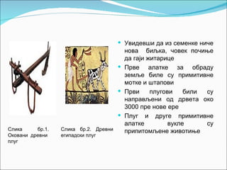  Увидевши да из семенке ниче
                                       нова биљка, човек почиње
                                       да гаји житарице
                                      Прве алатке за обраду
                                       земље биле су примитивне
                                       мотке и штапови
                                      Први     плугови    били су
                                       направљени од дрвета око
                                       3000 пре нове ере
                                      Плуг и друге примитивне
                                       алатке         вукле     су
Слика     бр.1.   Слика бр.2. Древни   припитомљене животиње
Оковани древни    египадски плуг
плуг
 
