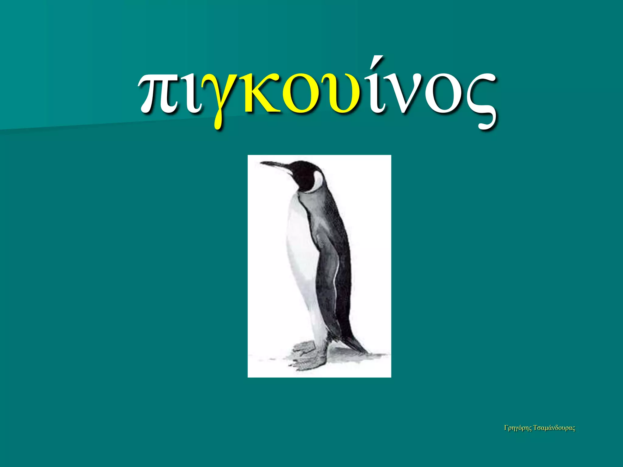 πιγκοςίνορ


             Γπηγόπηρ Τζαμάνδοςπαρ
 