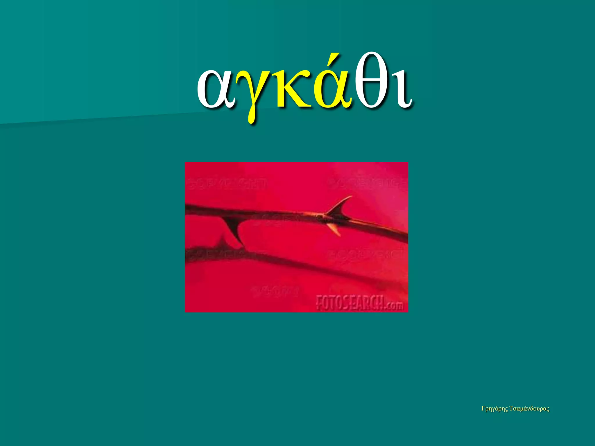 αγκάθι


         Γπηγόπηρ Τζαμάνδοςπαρ
 