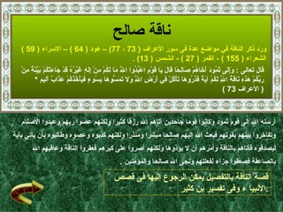 ‫ناقة صالح‬
   ‫ورد ذكر الناقة في مواضع عدة فى سور العراف ) 37 ، 77( – هود ) 46 ( – السراء ) 95 (‬
                                                             ‫الشعراء ) 551 ( - القمر ) 72 ( - الشمس ) 31( .‬
   ‫قال تعالى : ََِى َ ُو َ َ َا ُمْ َاِ ًا َا َ َا َوْ ِ اعْ ُ ُوا ا َ َا َ ُمْ ِنْ ِ َ ٍ َيْ ُ ُ َدْ َا َتْكمْ َ ّ َ ٌ ِنْ‬
     ‫ّ م لك م إله غ ره ق ج ء ُ بينة م‬                   ‫وإل ثم د أخ ه ص لح ق ل ي ق م بد ل‬
         ‫َ ّ ُمْ َ ِ ِ َا َ ُ ا ِ َ ُمْ آ َ ً َ َ ُو َا َأْ ُلْ ِي َرْ ِ ا ِ َ َ َ َ ّو َا ب ُو ٍ َ َأْ ُ َ ُمْ َ َا ٌ أليم *‬
                    ‫ربك هذه ن قة ّ لك ية فذر ه ت ك ف أ ض ّ ول تمس ه ِس ء في خذك عذ ب‬
                                                              ‫ل‬                                           ‫ل‬
                                                                                                           ‫) العراف 37 (‬



   ‫أرسله ال إلى قوم ثمود وكانوا قوما جاحدين آتاهم ال رزقا كثيرا ولكنهم عصوا ربهم وعبدوا الصنام‬
‫وتفاخروا بينهم بقوتهم فبعث ال إليهم صالحا مبشرا ومنذرا ولكنهم كذبوه وعصوه وطالبوه بأن يأتي بآية‬
        ‫ليصدقوه فأتاهم بالناقة وأمرهم أن ل يؤذوها ولكنهم أصروا على كبرهم فعقروا الناقة وعاقبهم ال‬
                                                    ‫بالصاعقة فصعقوا جزاء لفعلتهم ونجى ال صالحا والمؤمنين .‬

                                                 ‫قصة الناقة بالتفصيل يمكن الرجوع إليها فى قصص‬
                                                                  ‫.النبيا ء وفى تفسير بن كثير‬
                                                                                                                         ‫33‬
 