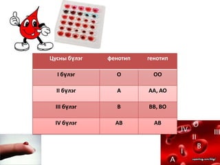 хүний цусны бүлэг удамших | PPT