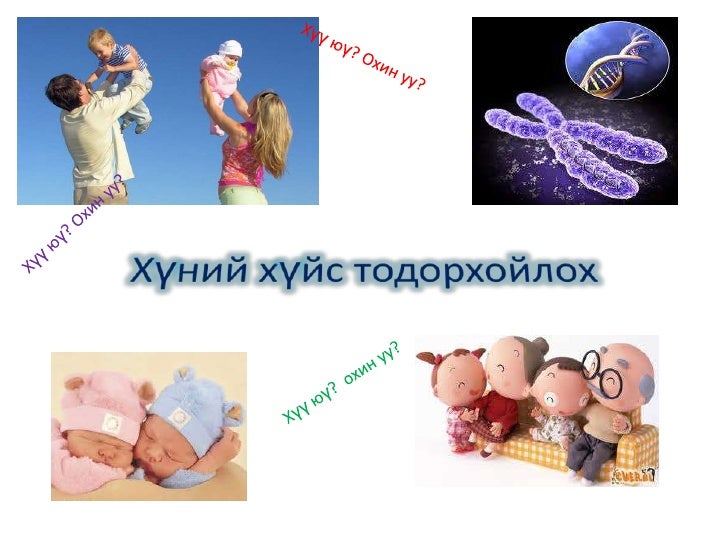 хүний хүйс тодорхойлох