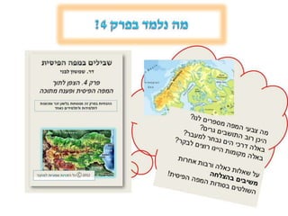 דפי נחיתה